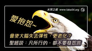 愛抱怨會使大腦失去彈性,更加老化?所以聖經說:凡所行的,都不要發怨言,起爭論