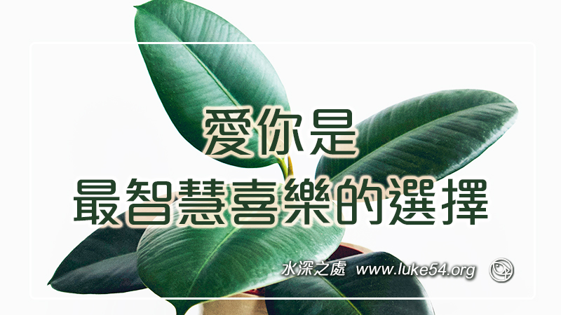 愛你是最智慧喜樂的選擇