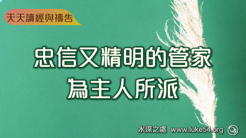 忠信又精明的管家，為主人所派