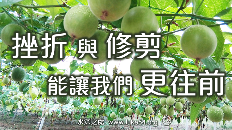主耶穌是最好的老師─嚴師出高徒,挫折與修剪是讓我們更往前