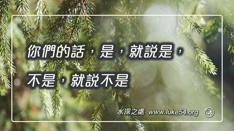 你們的話,是,就說是,不是,就說不是