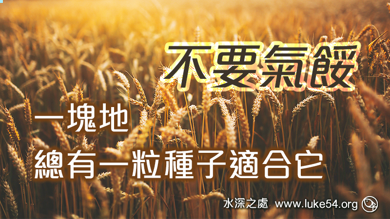 不要氣餒，一塊地，總有一粒種子適合它