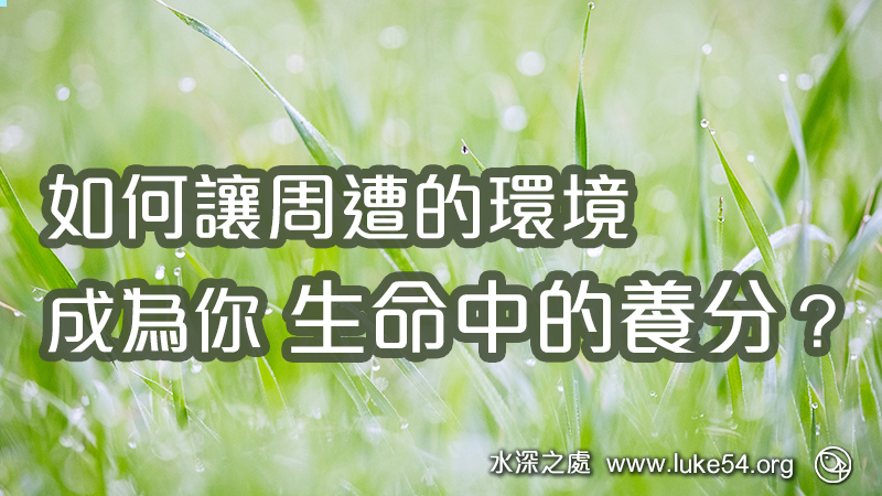 如何讓周遭的環境,成為你生命中的養分?