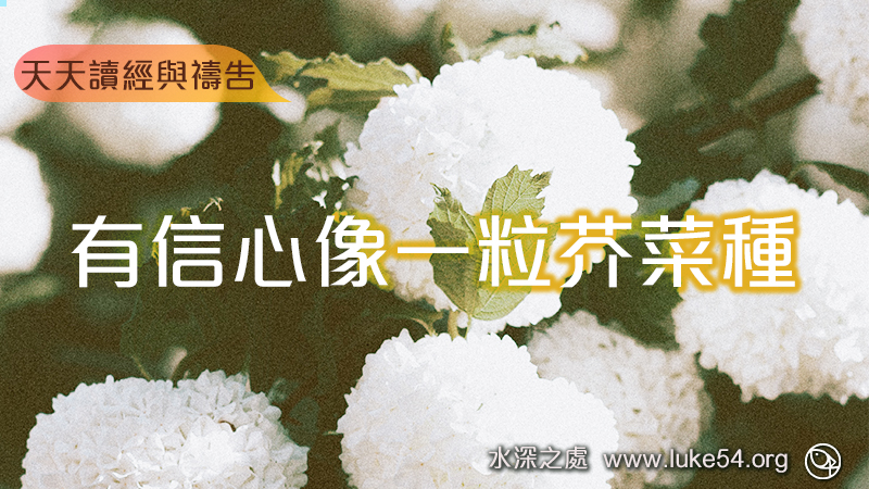 有信心像一粒芥菜種