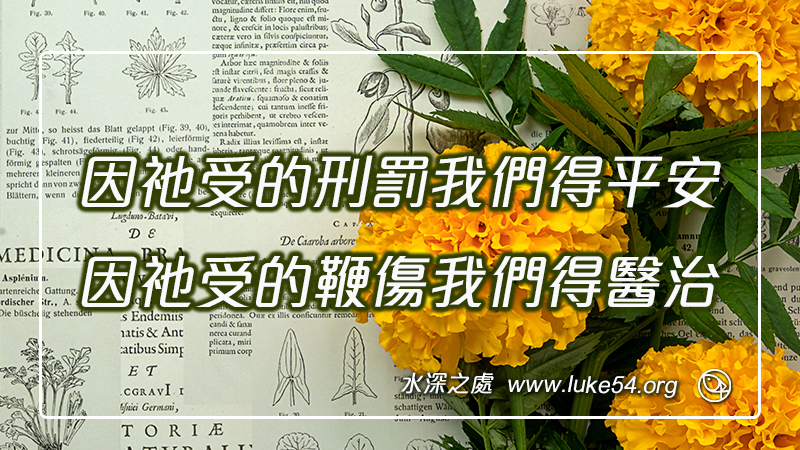 因祂受的刑罰我們得平安,因祂受的鞭傷我們得醫治