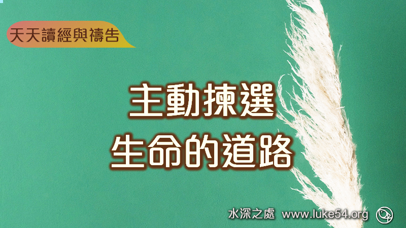 主動揀選生命的道路