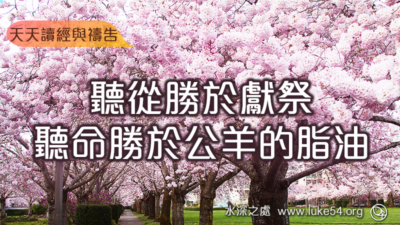 聽從勝於獻祭;聽命勝於公羊的脂油
