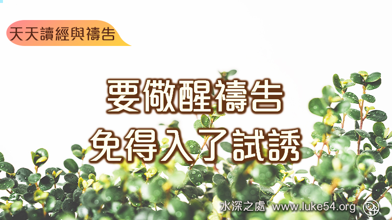 要儆醒禱告，免得入了試誘