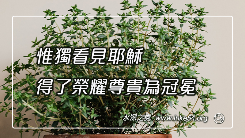 惟獨看見耶穌得了榮耀尊貴為冠冕