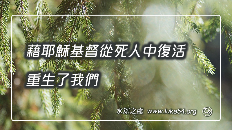 藉耶穌基督從死人中復活,重生了我們
