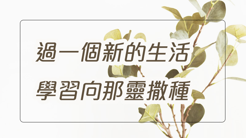 過一個新的生活;學習向那靈撒種