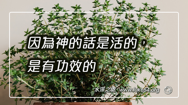 因為神的話是活的，是有功效的