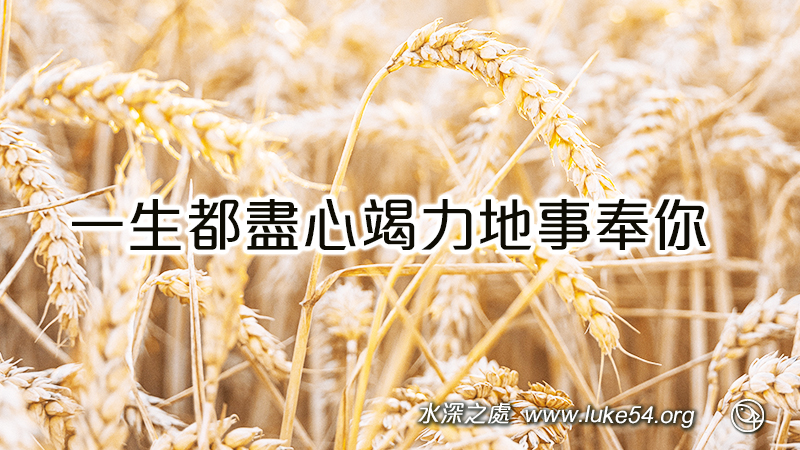 一生都盡心竭力地事奉你