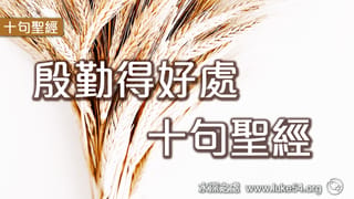 殷勤得好處的10句聖經
