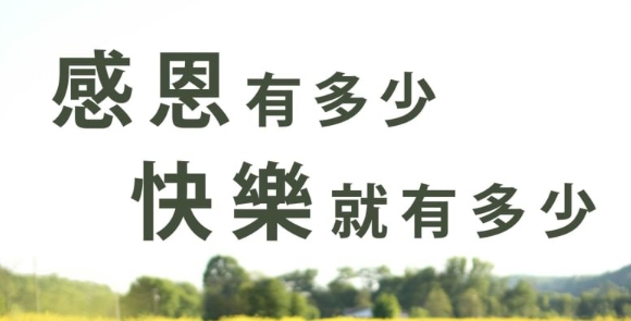 看看你手上有的