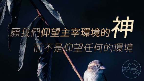 只有時間和神知道:誰是你的敵人?誰是你的朋友?