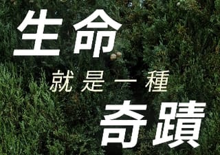 現今世界上的七個奇蹟