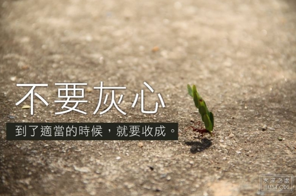 不要灰心