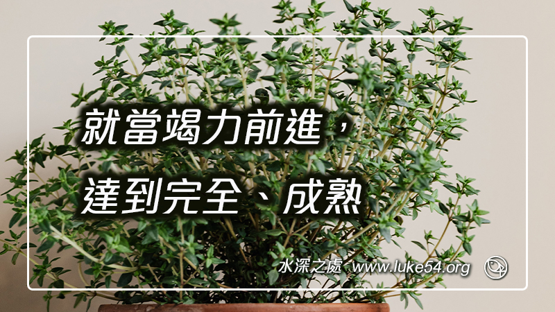 就當竭力前進，達到完全、成熟
