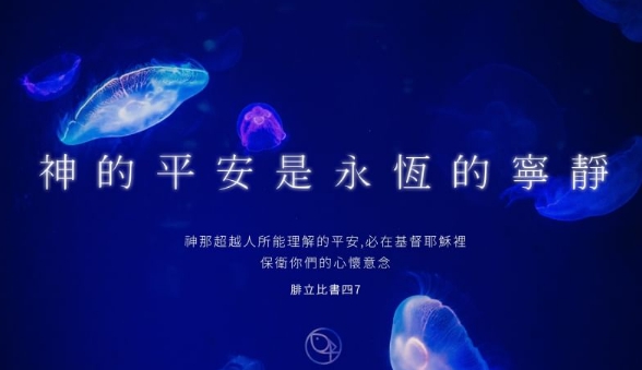 鎮靜中的智慧