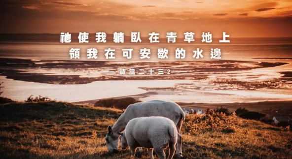 我來了,是要叫人得生命