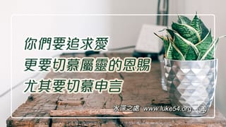 你們要追求愛,更要切慕屬靈的恩賜,尤其要切慕申言