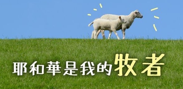 當心思紛亂、情感攪擾、意志猶豫時,你需要?