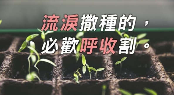 你今日的眼淚,必造就那日的喜悅,流淚撒種的,必歡呼收割!