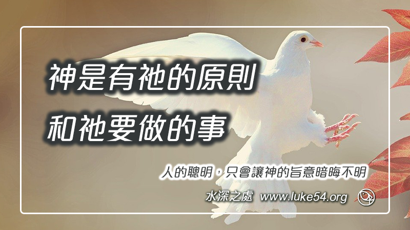 神是有祂的原則，和祂要做的事。人的聰明，只會讓神的旨意暗晦不明
