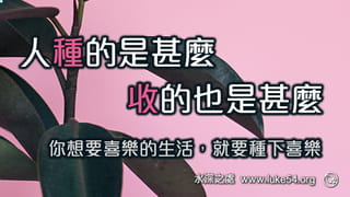 不要受迷惑，神是嗤慢不得的，因為人種的是甚麼，收的也是甚麼