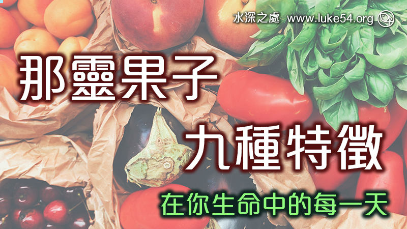 那靈果子的九種特徵:在你生命中的每一天