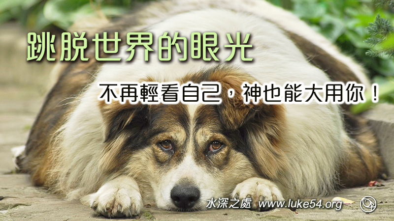 體重歧視,可能比肥胖更有害!跳脫世界的眼光,不再輕看自己,神也能大用你!
