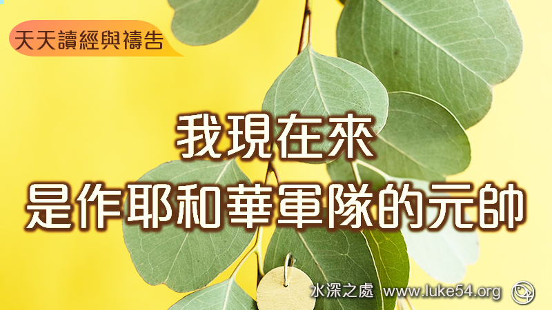 當拜主你的神,單要事奉祂
