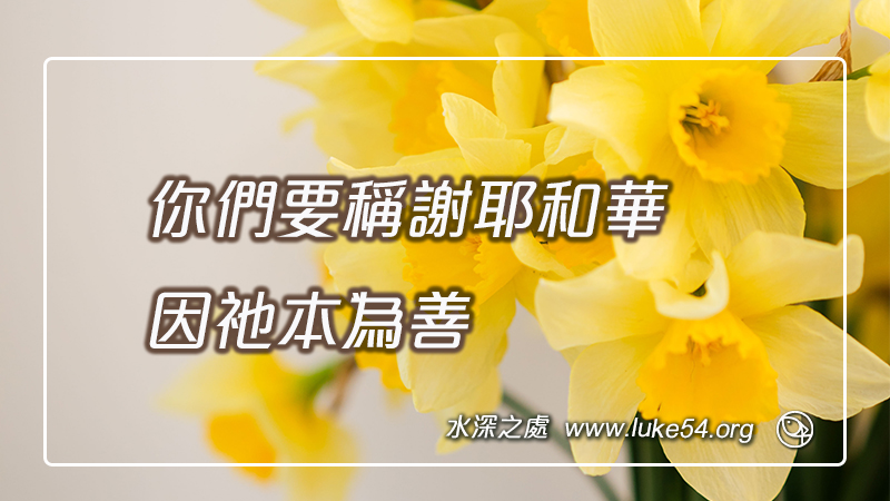 你們要稱謝耶和華，因祂本為善