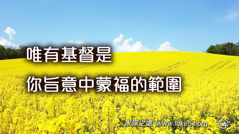 唯有基督是你旨意中蒙福的範圍