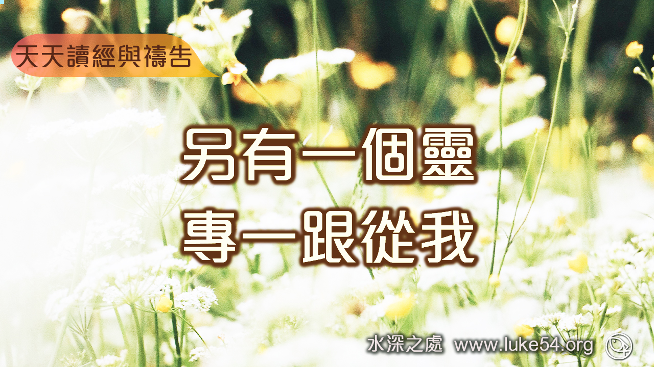 另有一個靈,專一跟從我