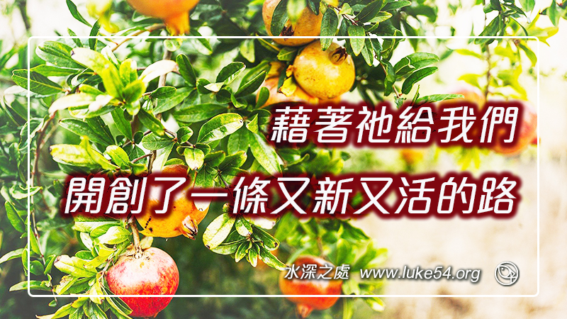 藉著祂給我們開創了一條又新又活的路