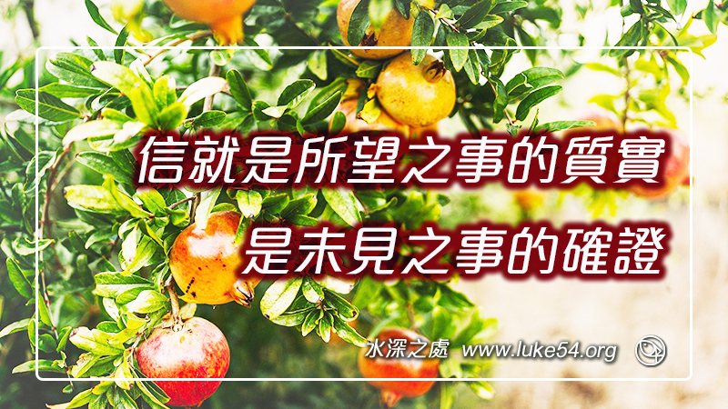 信就是所望之事的質實,是未見之事的確證