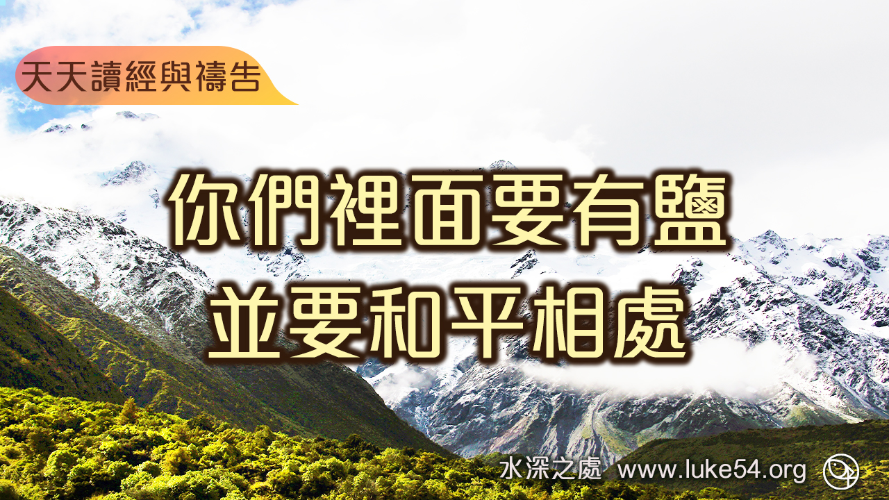 你們裡面要有鹽,並要和平相處