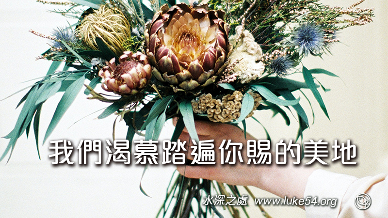 我們渴慕踏遍你賜的美地