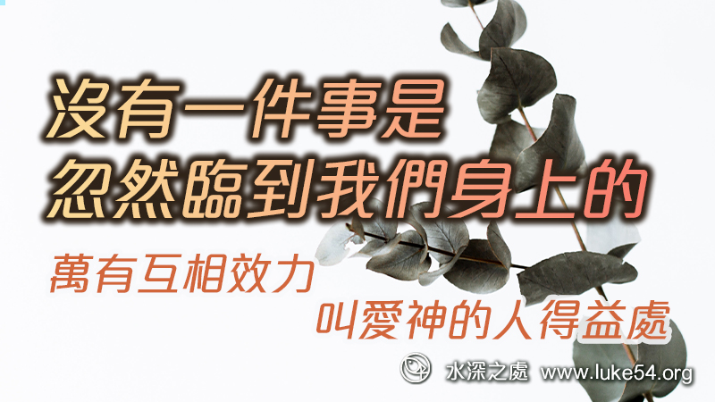 沒有一件事是忽然臨到我們身上的，聖經說：「萬有互相效力，叫愛神的人得益處」