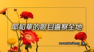 耶和華的眼目遍察全地,要加強那些心中純全向著祂的人