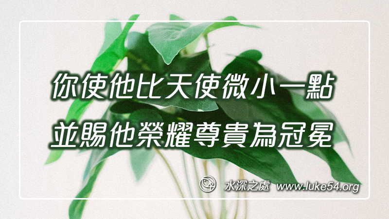 你使他比天使微小一點,並賜他榮耀尊貴為冠冕