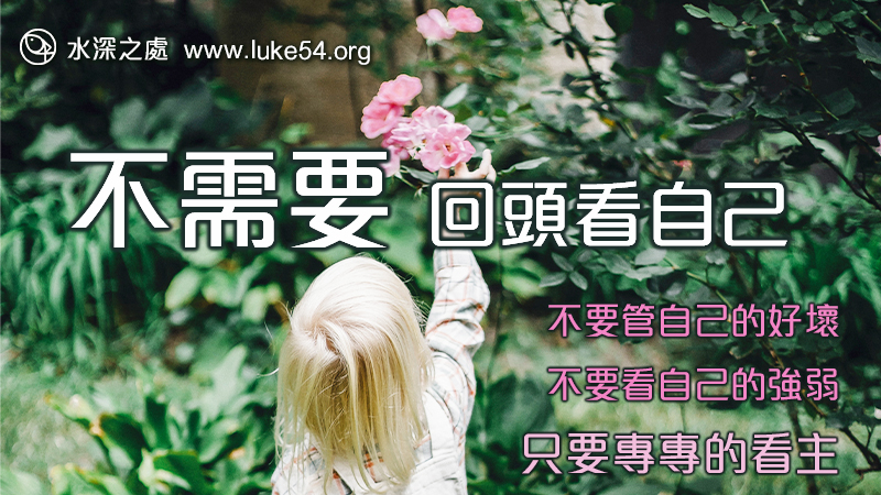 不需要回頭看自己...往自己裏面看,是屬靈生命中最大的軟弱,也是最大的仇敵
