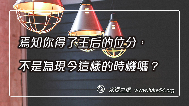 焉知你得了王后的位分,不是為現今這樣的時機嗎?