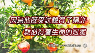 因為他既受試驗得了稱許,就必得著生命的冠冕