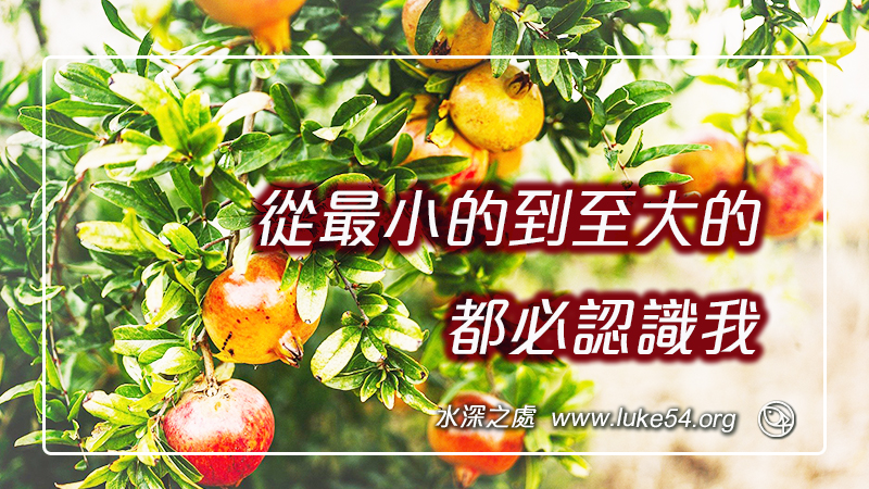 因為他們從最小的到至大的,都必認識我