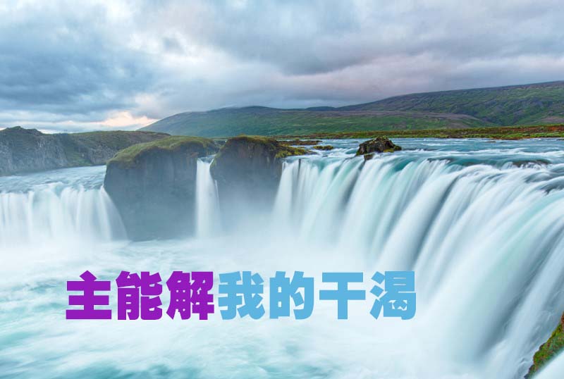 主能解我的干渴