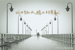 我們在天橋上的奉獻