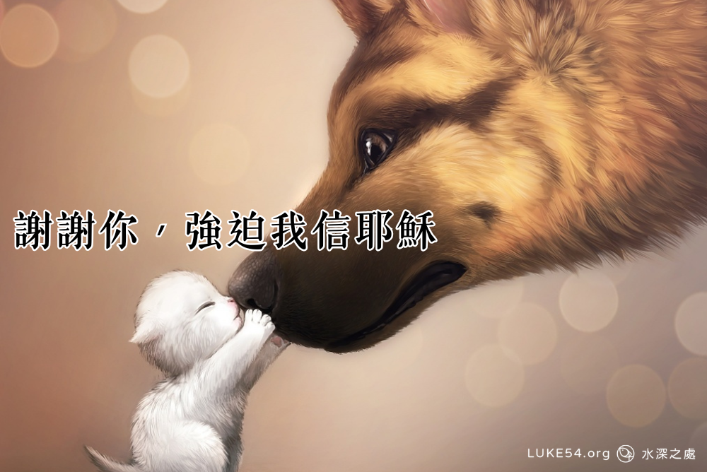 謝謝你『強迫』我信耶穌